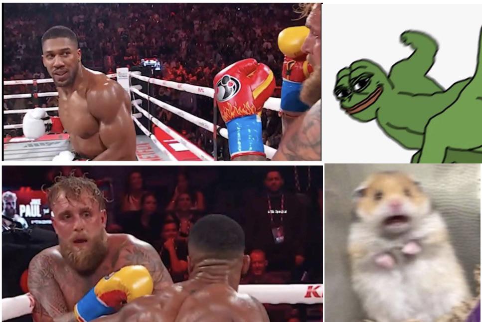 Hourly Dank Memes tweet media