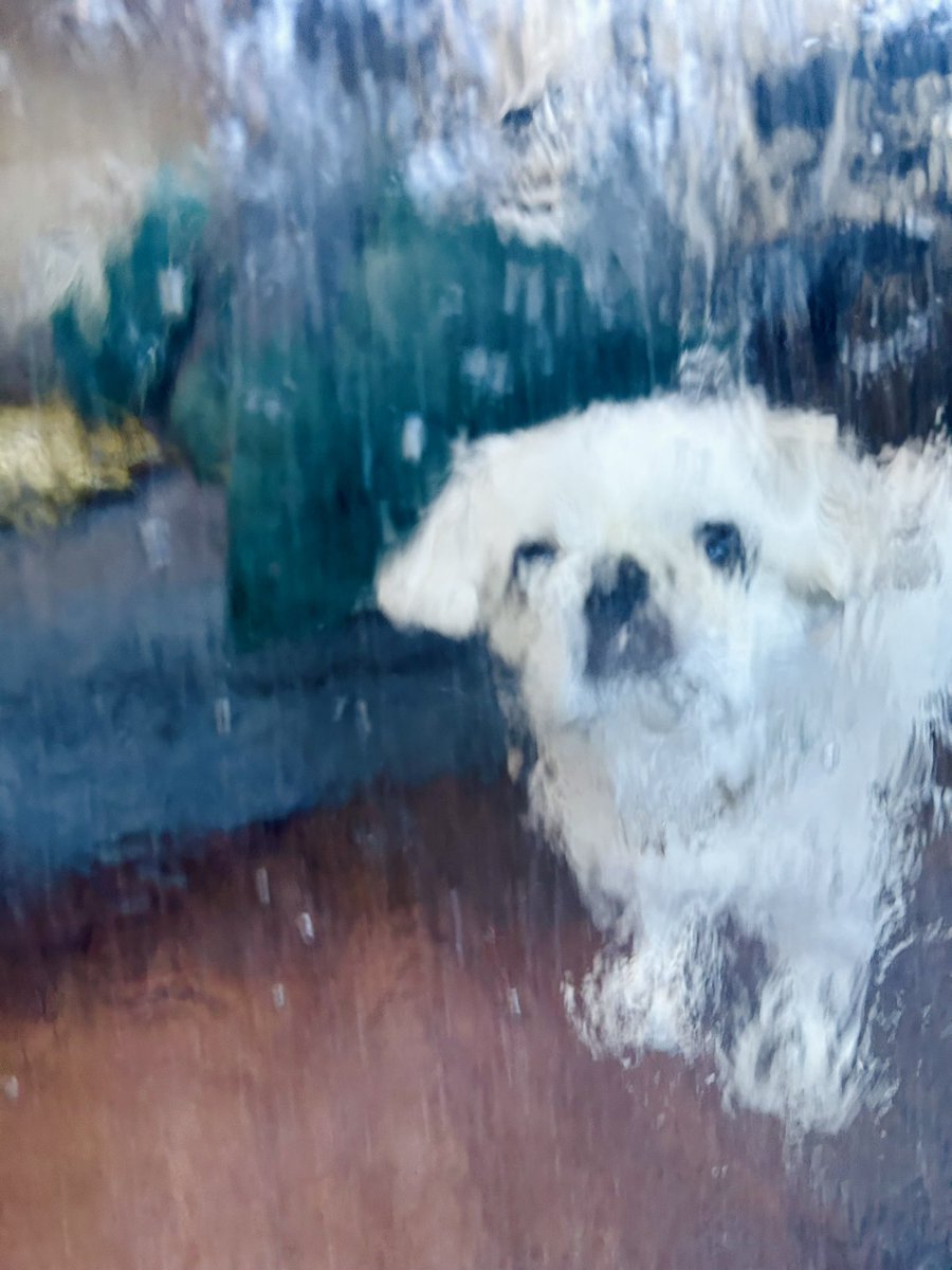 Post by TAK on X: 印象派だ