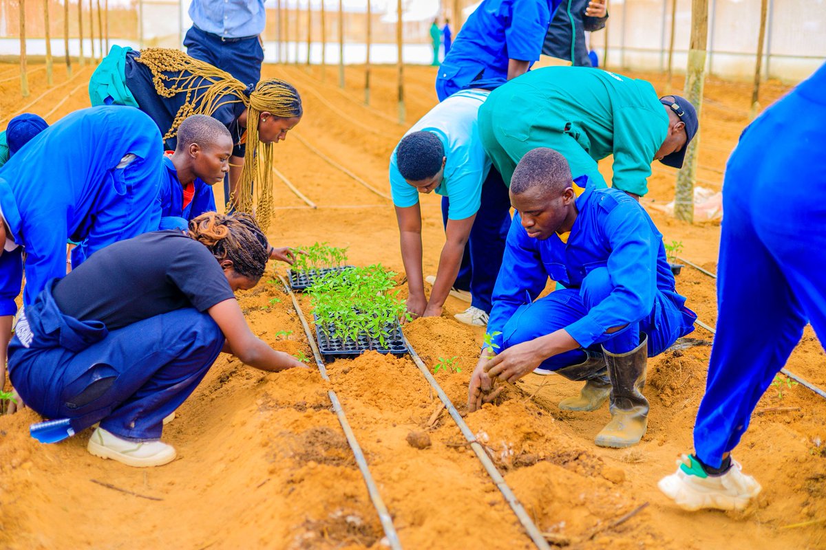 Through the GrowALE Program, owned by <a href="/yallayallagroup/">Yalla Yalla Group</a> young people/future entrepreneurs in agri. from <a href="/MusanzeCollege/">RP-Musanze College</a> and trainees from GS Dihiro visited the International Center of Agricultural Research and Training (ICART), established by Yalla Yalla Group at GS/TSS Dihiro.