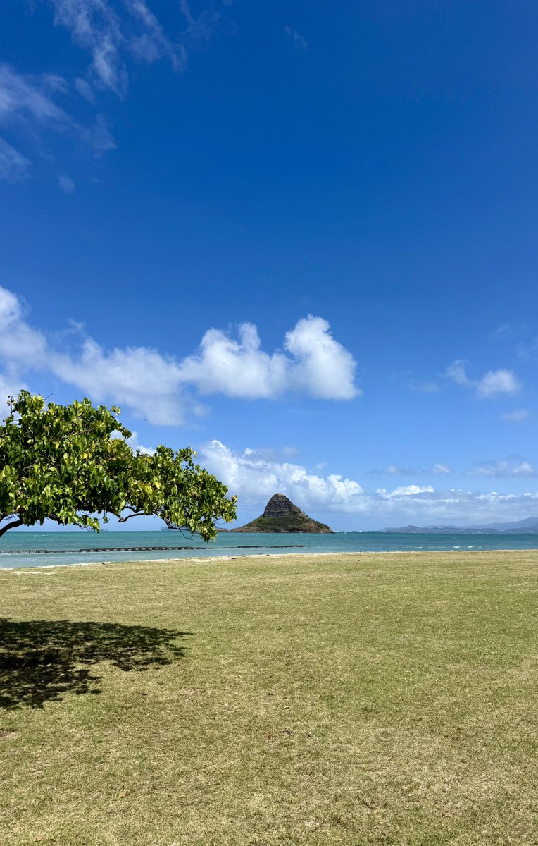 RADICALRP tweet media