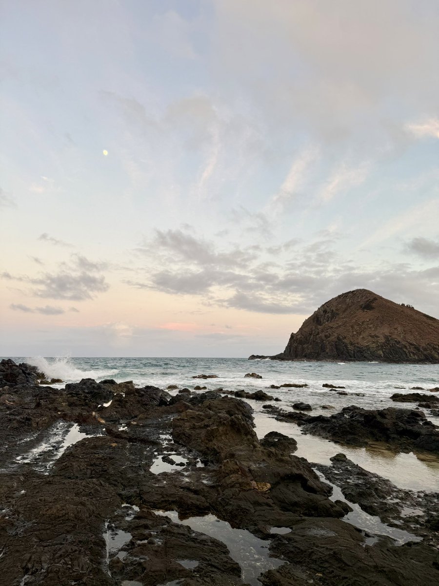 RADICALRP tweet media