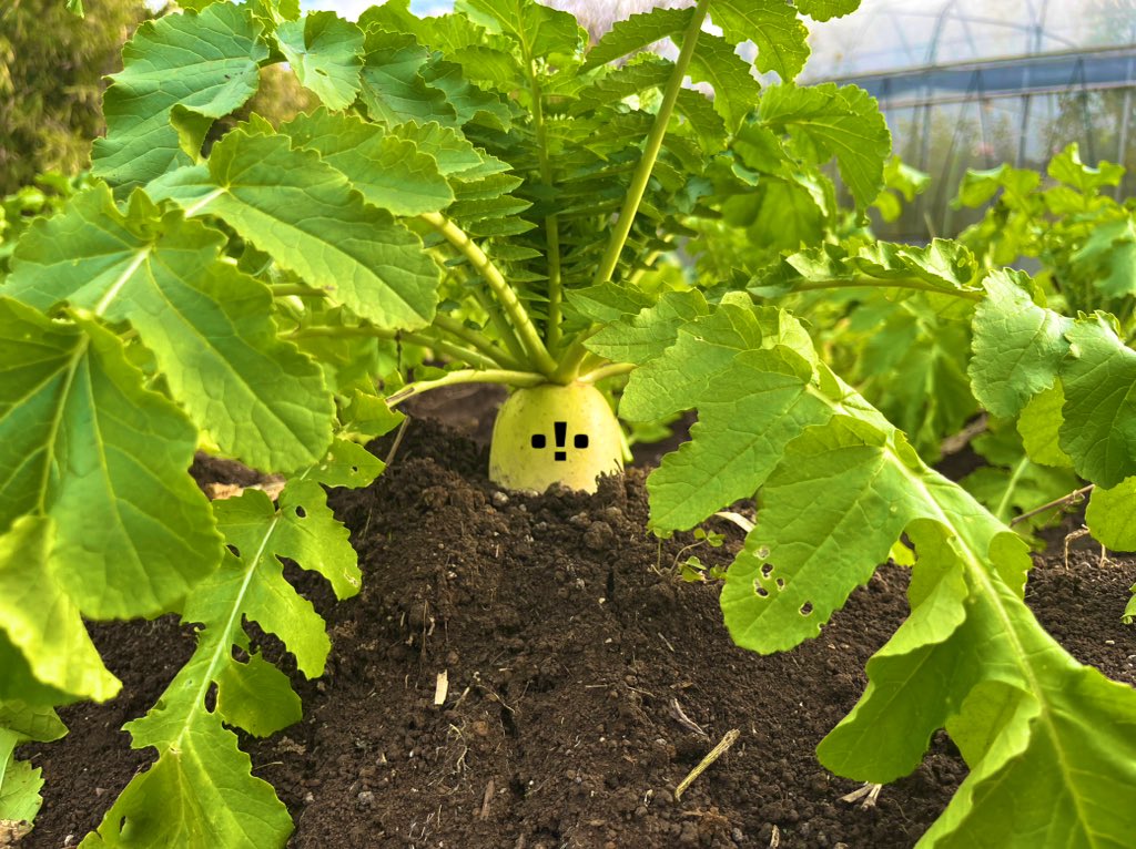 玉二郎†フクシア緋色の祝福† (@prw6014h) / Posts / X