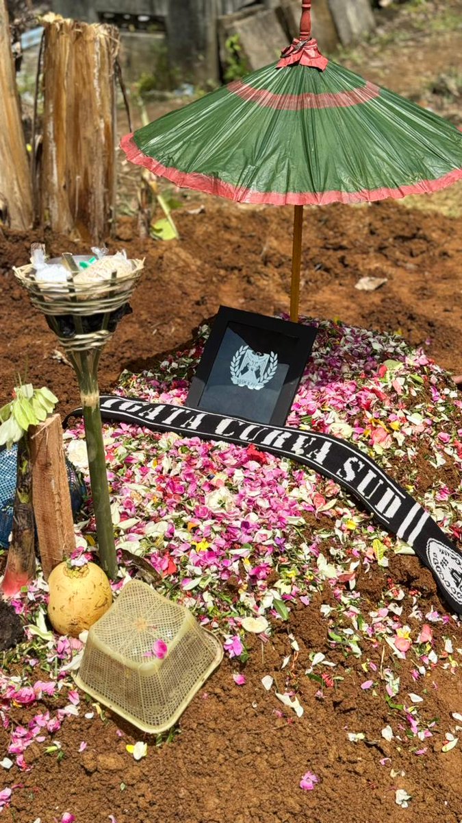 H E R P I N tweet media