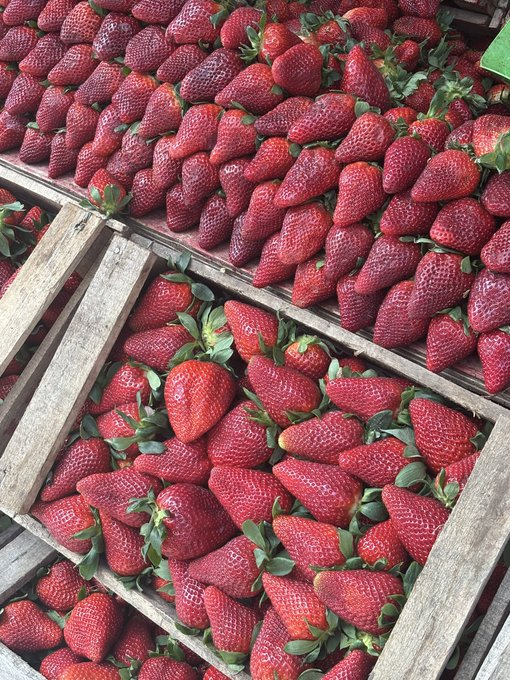 itsD3lay's tweet image. HAY ALGO MEJOR QUE LAS FRESAS????