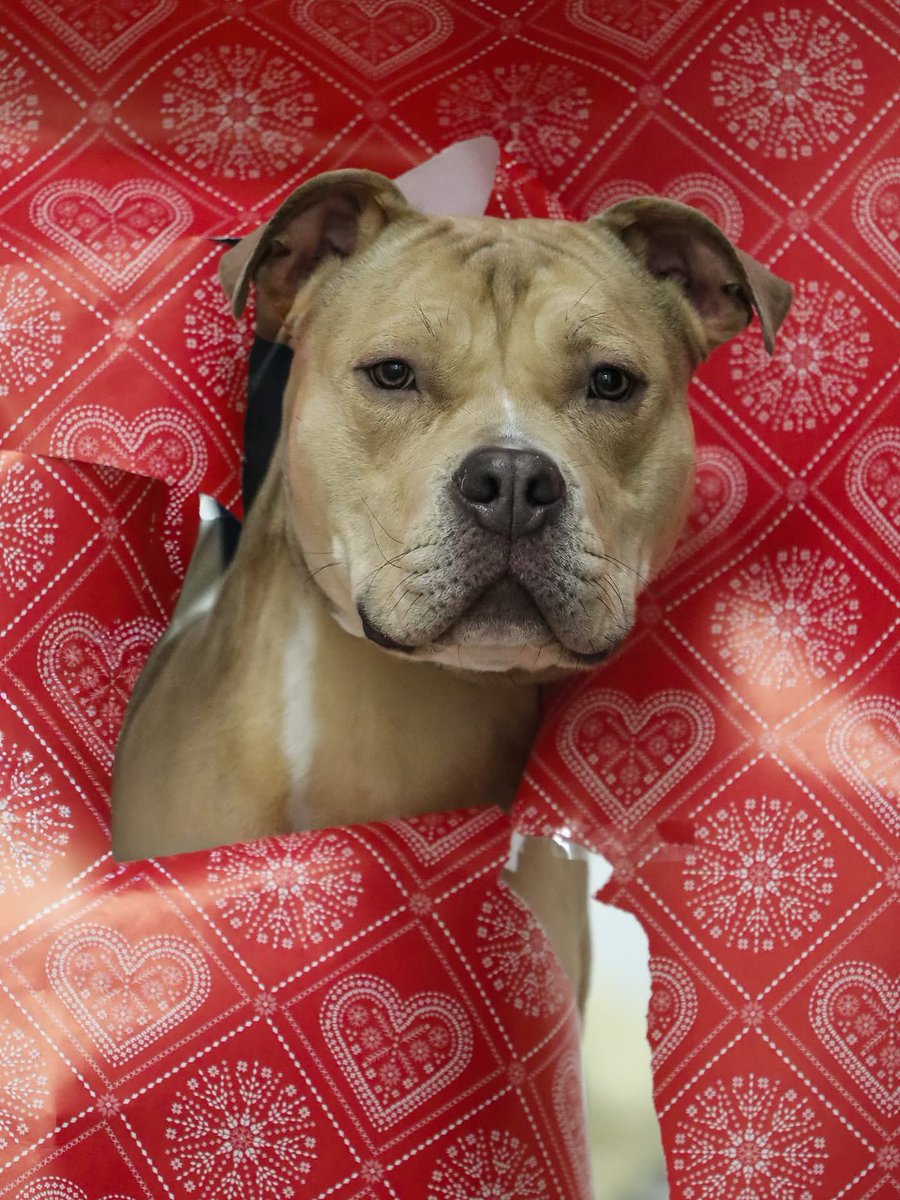 Johnny F Kroneld tweet media