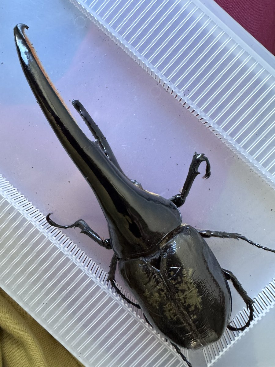 K-7】 (@morisimaisuki) / Posts / X