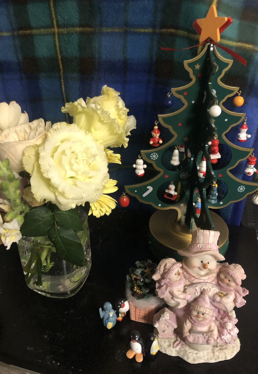 今年もあっという間のクリスマス🎄シーズン。 ハルミちゃん、今年も