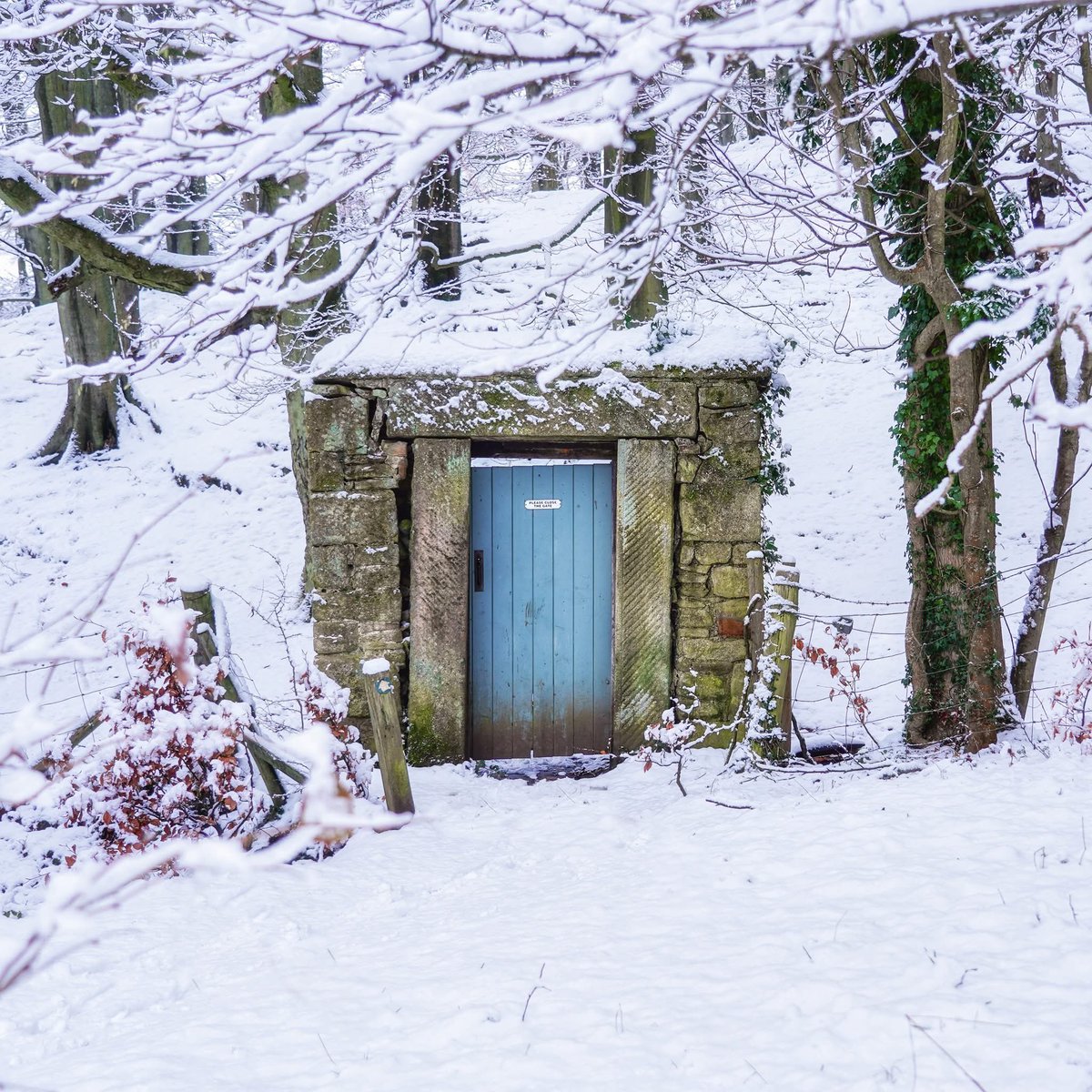 peaklass tweet media