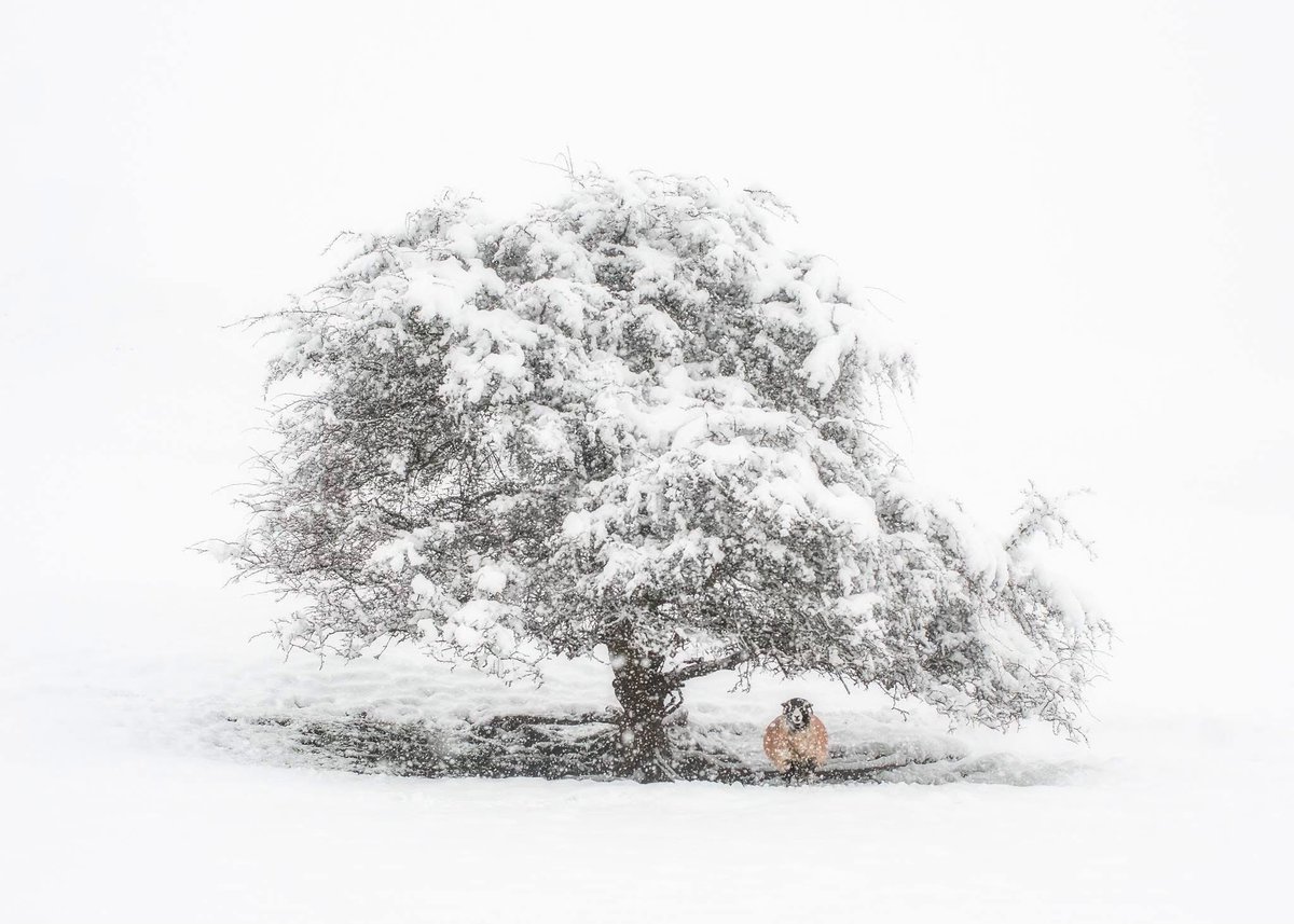 Pale Shelter - a gorgeous scene at Matterdale above Ullswater