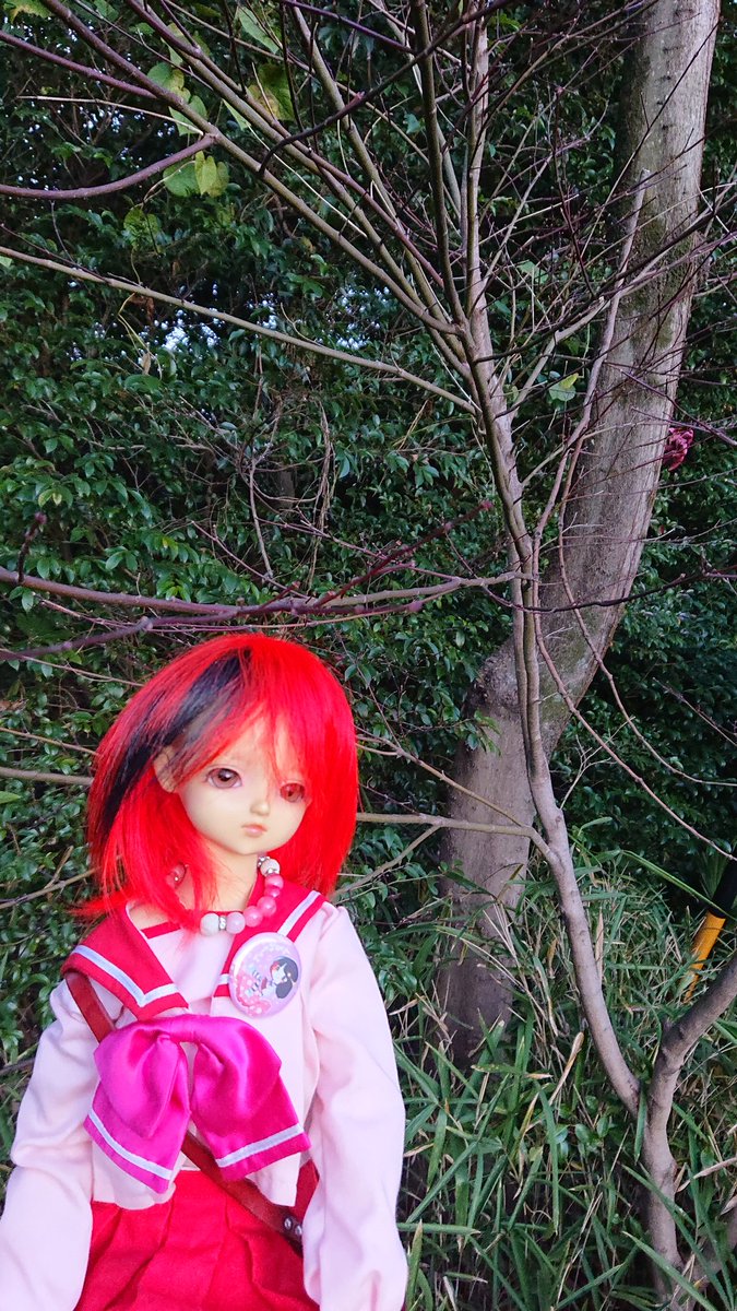 ら (@1472512) / Posts / X