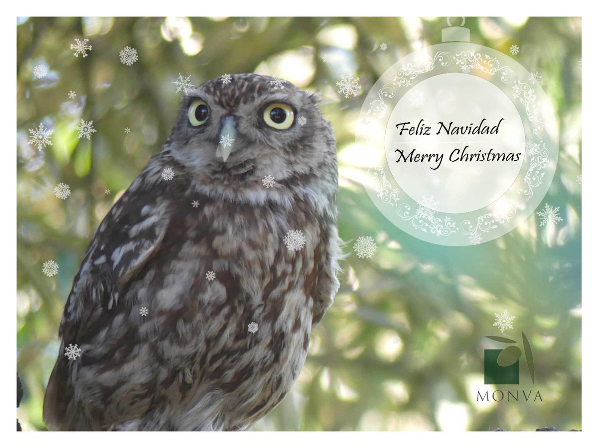 Esta #Navidad brindamos por lo que de verdad importa: la salud, la familia y la tierra que nos une 
Gracias por acompañarnos un año más 💚
¡Feliz Navidad!