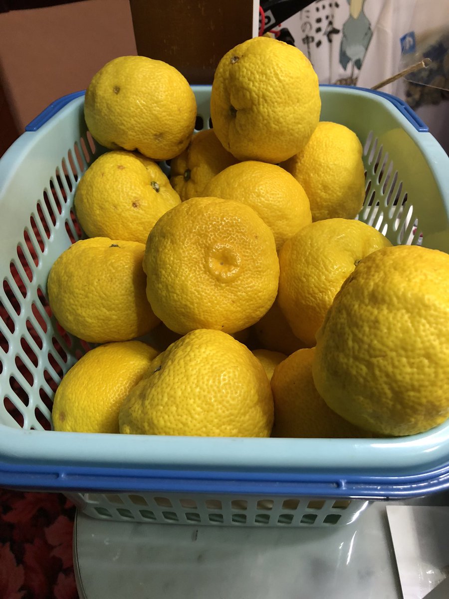 purinelamo's tweet image. 平和湯さん🕊️♨️ヘアスプレー無事回収🥹
ブーツの見張り番役な写真な🤡さん✨
ゆず湯とサウナ室の香りがミックスしてしあわせ🫠💛冷えてきたのでロビーで内気浴で落ちつき🥰2時間睡眠労働が一気に吹き飛びました🥹🥹🥹感謝です。ゆずほうじ茶ロウリュでのんびり下段🫠💛ありがとうございました🥰