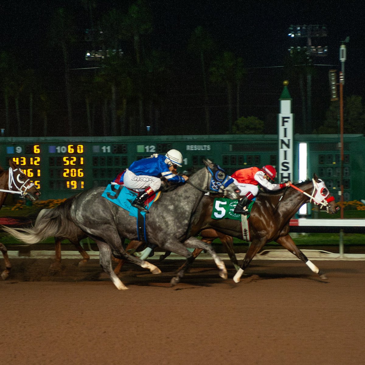 losalracing's tweet image. It's an early Christmas present for the connections of $158,000 Southern California Derby winner Shaken Goin On. Congratulations to owner James Sills, Justine Klaiber, Eddie Willis and Abel Flores on the victory. Shaken Goin On finishes the year with four stakes wins at Los Al.