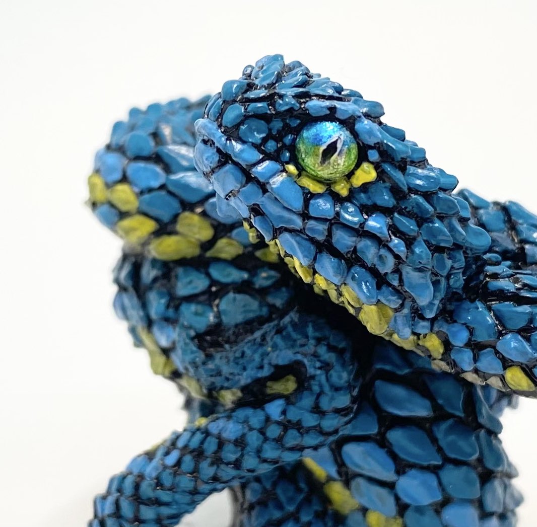 守亜（もりあ） (@Aquanaizer) / Posts / X