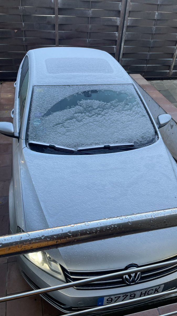 Yaizasaurus Rex ✨ tweet media