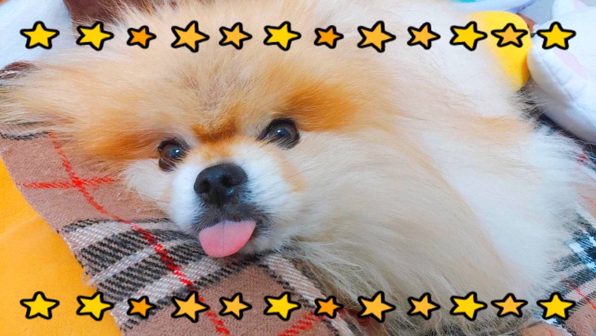 今日のS株投資 🥇東京海上 🥇NTT 🥉アサヒGHD 今年の受取配当はドル