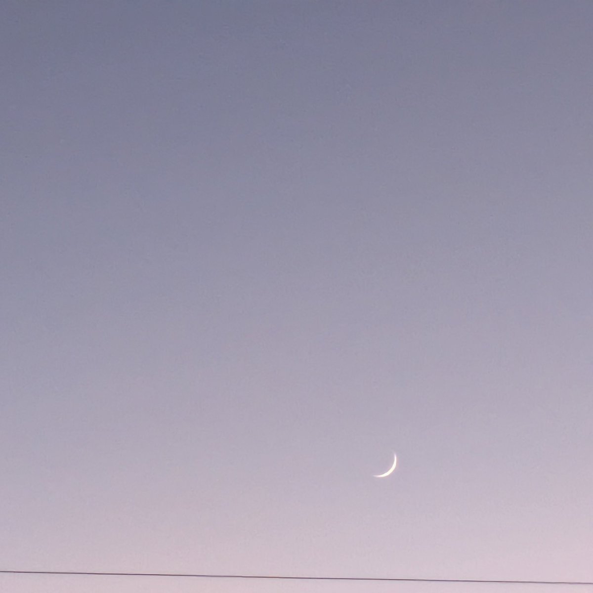 三日月様*.゜ 2022年新作】ゼニス 95.L384.400/50.M384 クロノマスター リバイバル