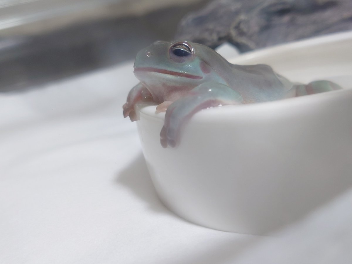 ﾝﾎｬﾜ〜♨️