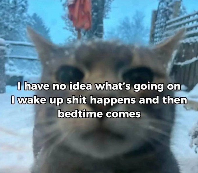 Gm to those that still Gm