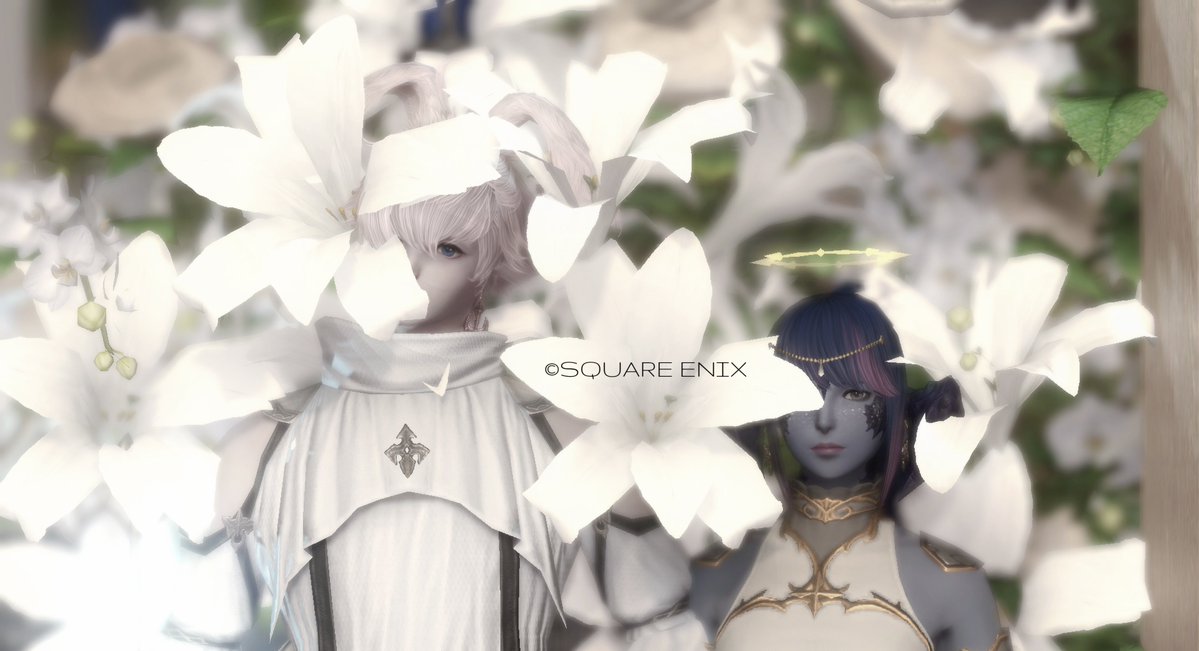 【お白湯】 鶏白湯かけSoba 3食入り | Ginza-Kagari