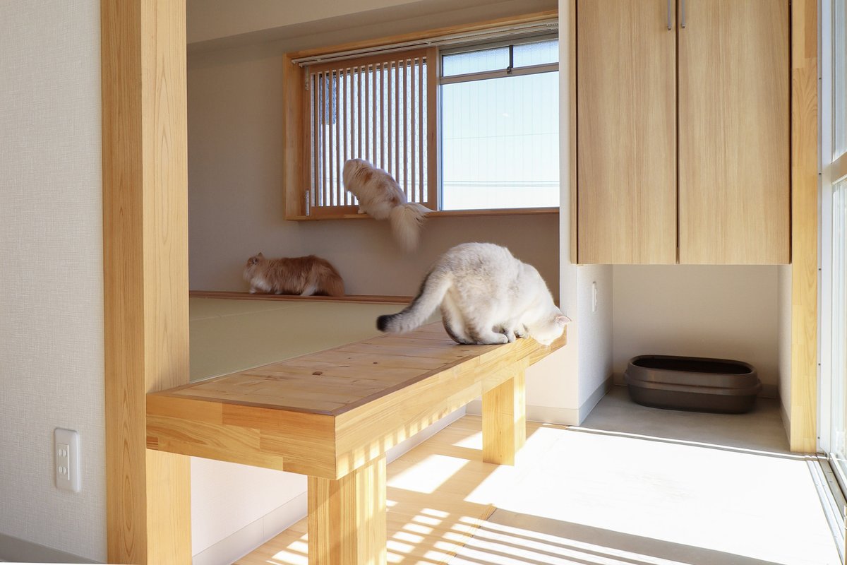 お酒が好き (@komesyu0) / Posts / X