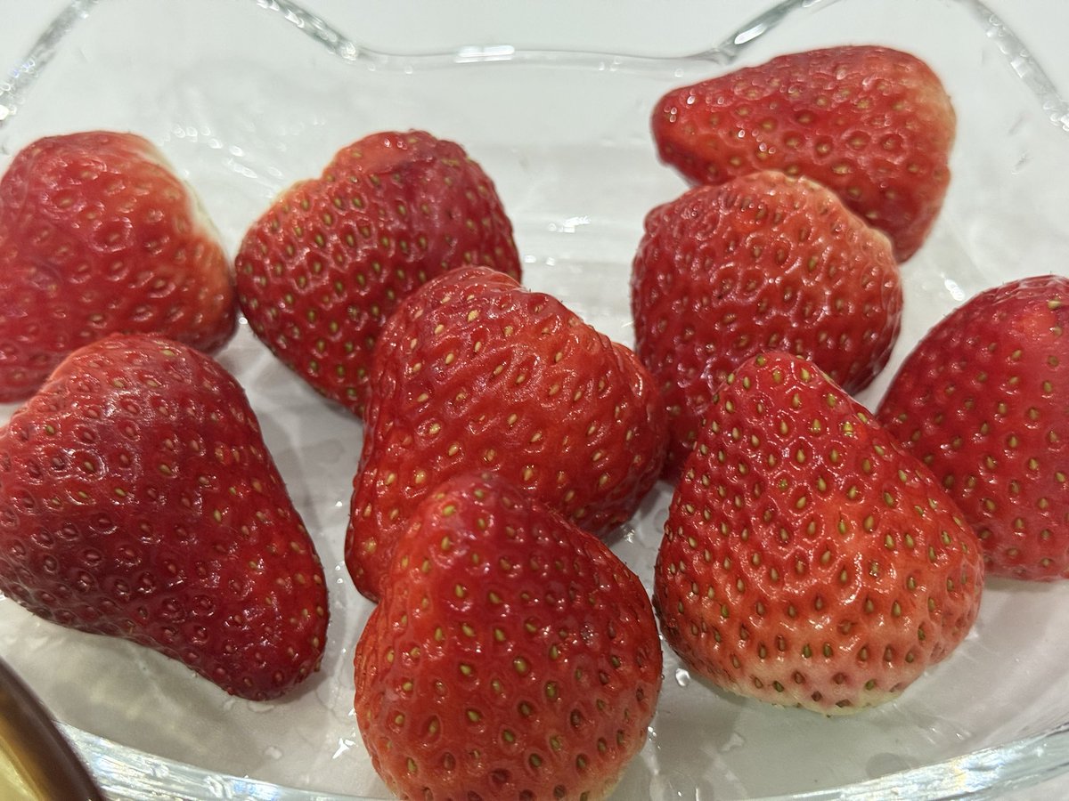 Wssummercat's tweet photo. 写给主人的第九封信

又到了吃草莓的季节，突然想起来，主人也爱吃的。
真奇怪啊，猫总觉得，时间会冲淡一切，包括对您的爱或恨。
可事实是，我并不恨您，爱也未消磨殆尽，我已经很久没有翻过相册了，可想起您，模样还是一如既往的清晰。
后来，我用三年时间写了一封没有回信的情书，只是遗憾罢了。 https://t.co/wSAhkIimyw