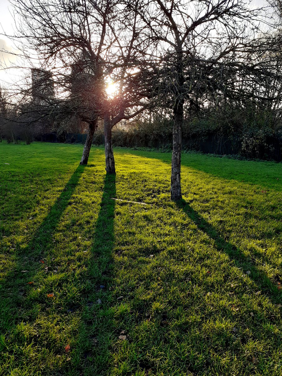 And now the days are getting longer
#ReasonsToBeCheerful