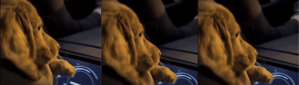 CryptGrand's tweet image. $PUPPYTAXI $163k &amp;gt; $17.8m / 109x growth