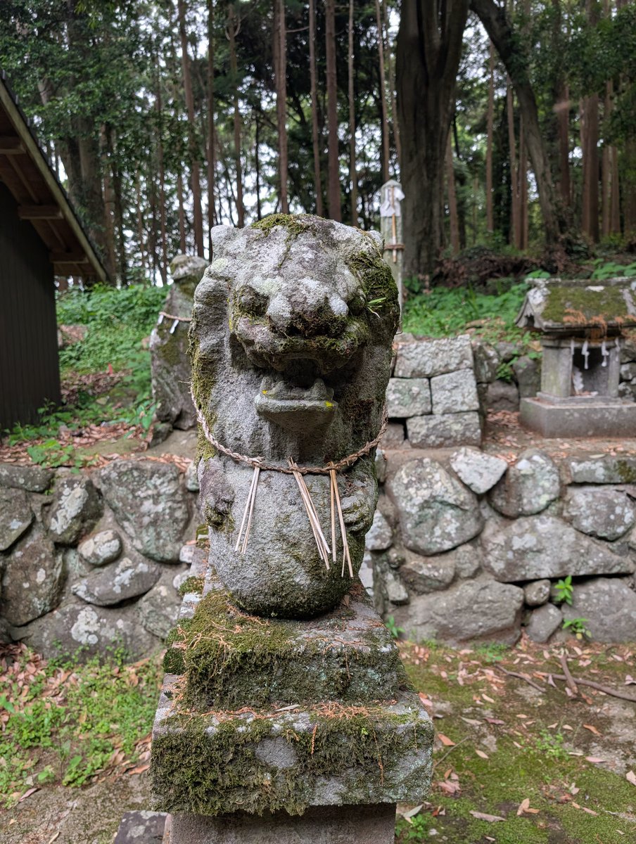 2025年撮ったけど投稿してなかった風景 獅子っぽさと球乗り狛犬の特徴