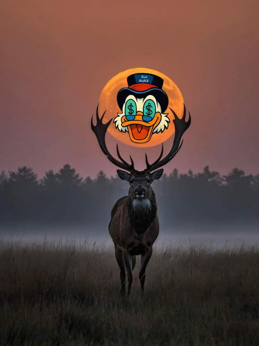 SamRichQUACK tweet media