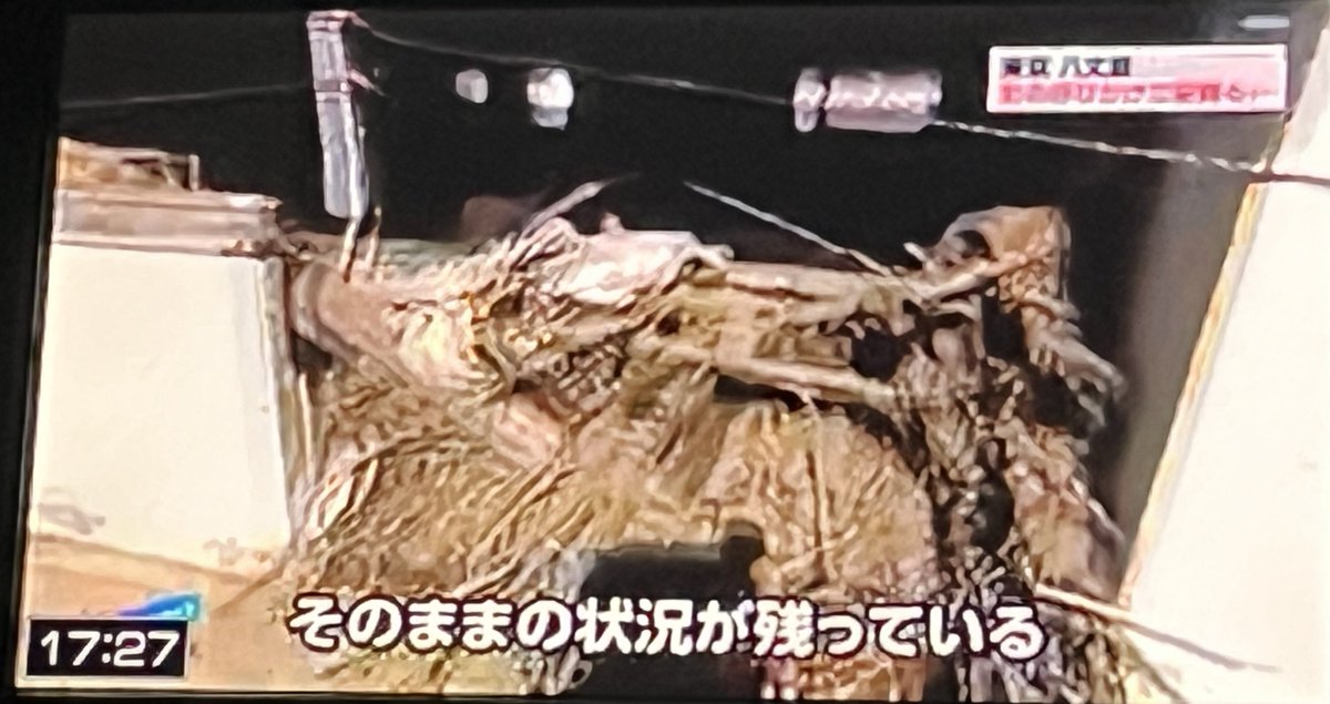 八丈島の台風の復興、進んでいないのですね、、、