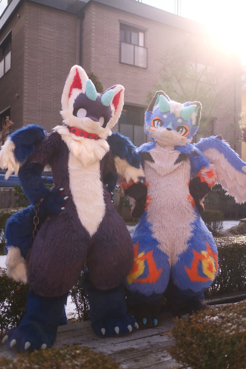 アンモナイト異常巻きリュウエラリユウ アンモナイト異常巻きリュウエラリユウ アンモナイト異常巻きリュウ