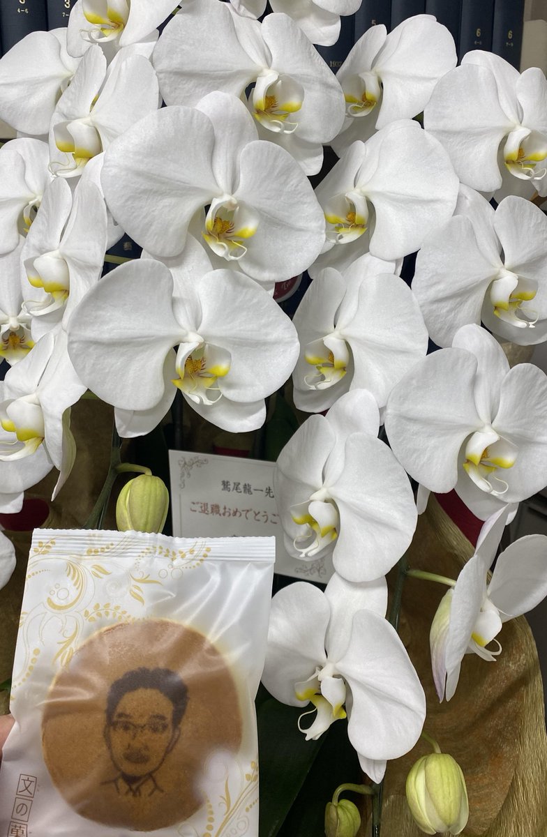 学習院大学文学部日本語日本文学科 (@jpn_gakushuin) / Posts / X