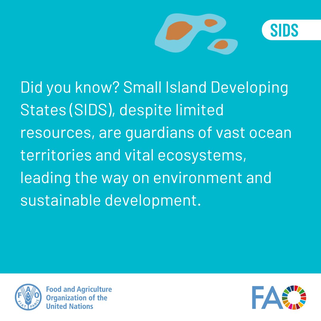 Stand with #SIDS as they protect vast oceans &amp;vital ecosystems. Support their effort in climate action &amp; ocean protection for our future!  
#OceanAction #SIDS