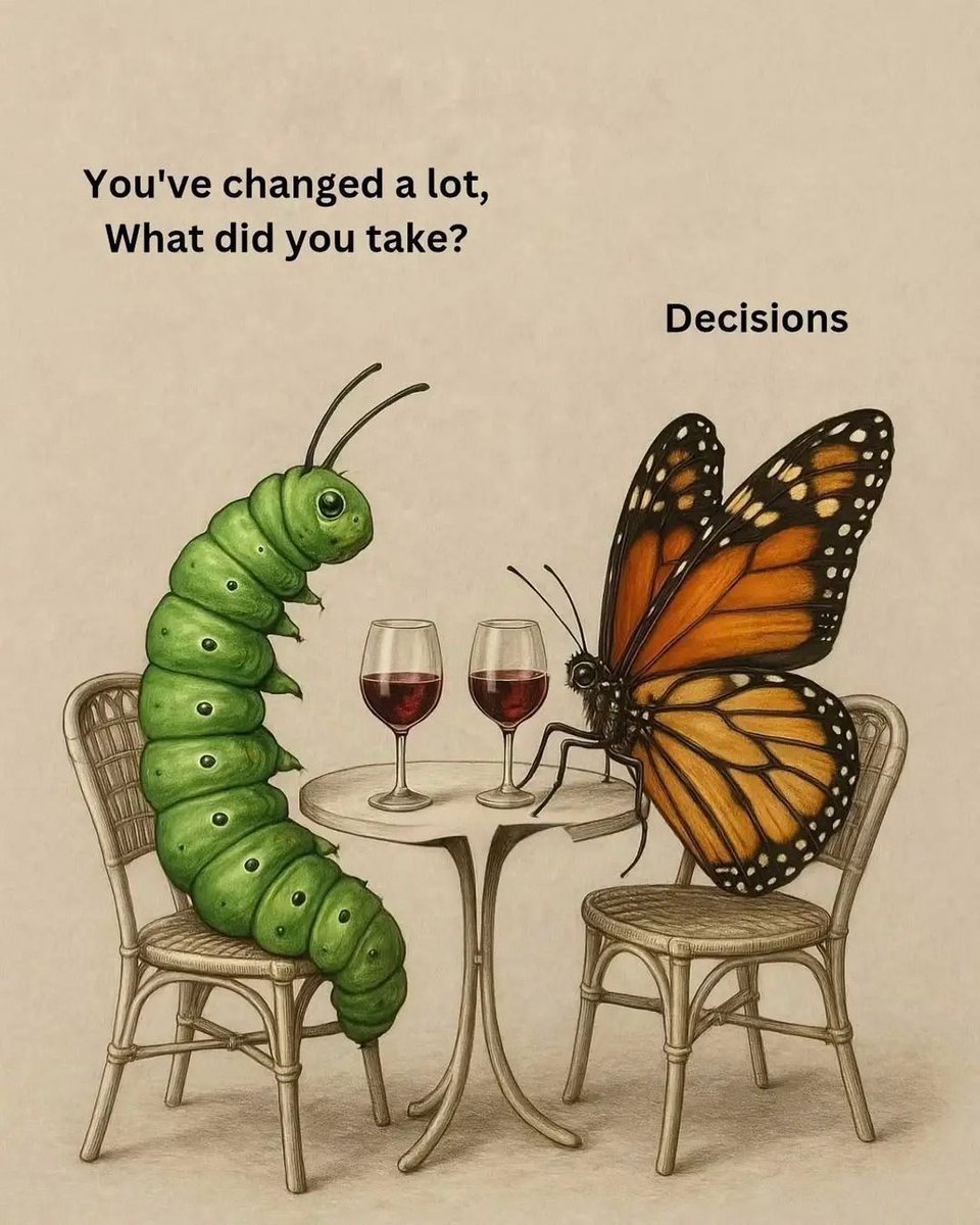 Dearme2_'s tweet image. Grow.