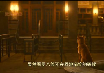 BNB#HALO tweet media