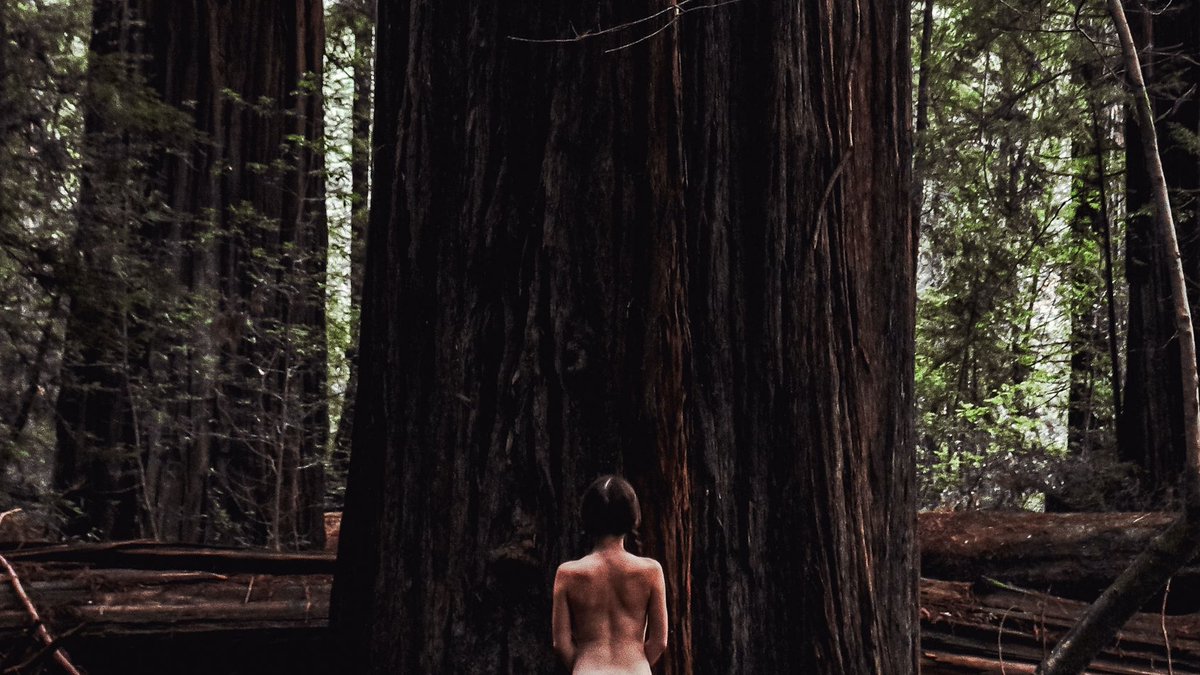 <a href="/mmaddyjean/">mads</a> Mads in her element 

🌲