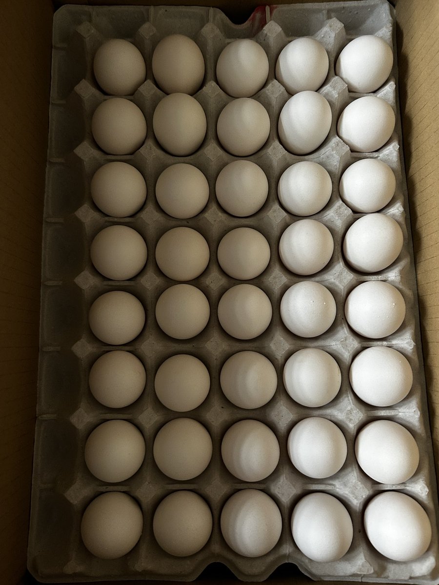 tamago様ご確認ください たまご箱買いしました！ 職場の人達と分けました これでしばらくは安心