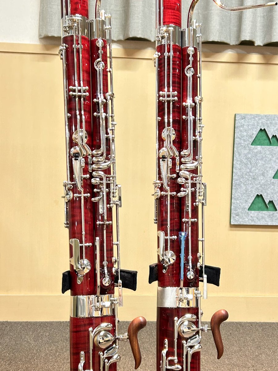 メーニッヒ　ファゴット本体 ファゴット フロアより🍯】 GEBR.メーニッヒの人気モデル『214 Diamant