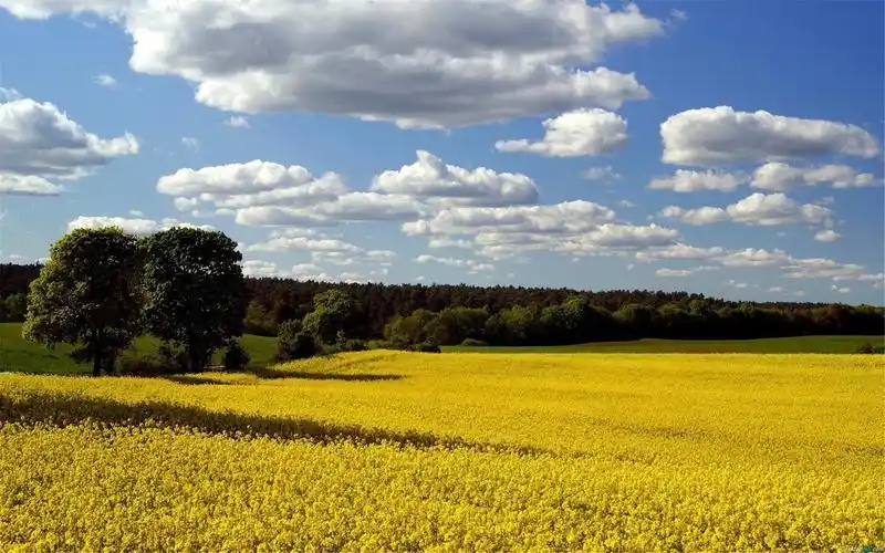 funkshore's tweet image. 