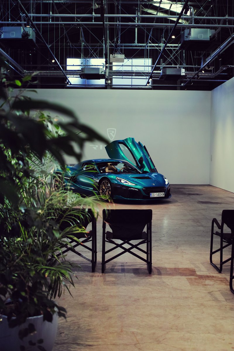 Angelfish tweet media