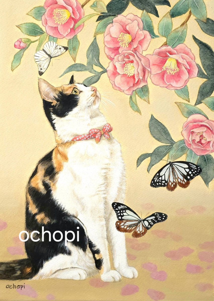 おちょぴ (@tagomagoooooo) / Posts / X