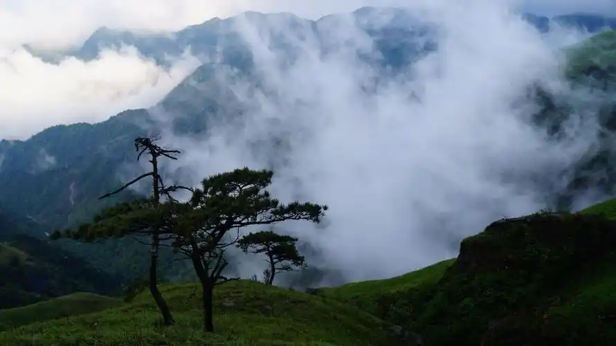 funkshore's tweet image. 