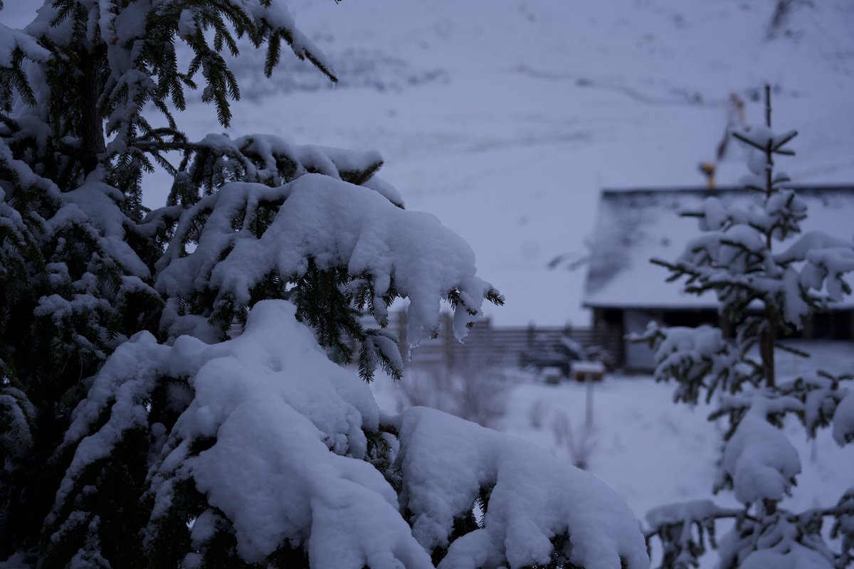 AramonFormigal's tweet photo. 🔴 LIVE | ( 22 / 12 / 25 )

La estación ha amanecido con 15cm en las cotas más bajas y hasta los 40 cm a partir de los 2.000m https://t.co/gVA2kmBoUj