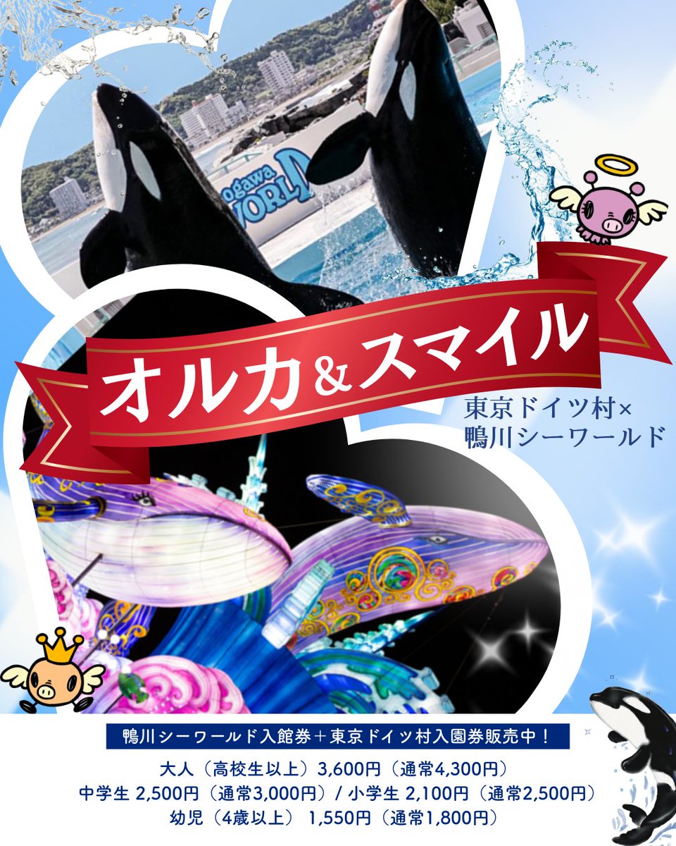 鴨川シーワールド【公式】 (@kamoseaOfficial) / Posts / X