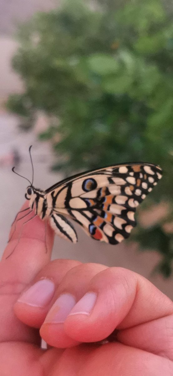 سيموت نصف إبداعك إن فكرت في رأي الآخرين...
تذكر أن لك زاوية لا ينظر للأشياء منها سواك🦋🌺