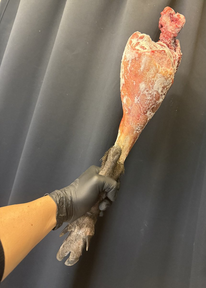 たろう様 仮面ライダータイクーン meets 仮面ライダーシノビ』にZX・剣斬・風魔