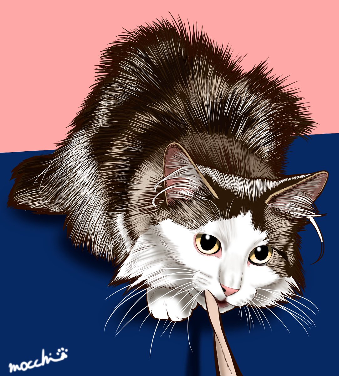 もっち（mocchi） (@mocchimocchi09) / Posts / X