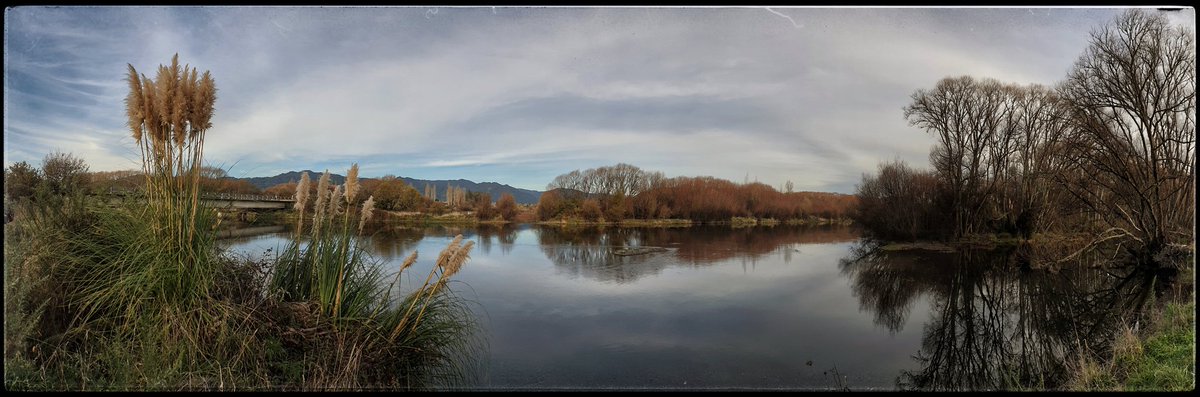 hottriggered's tweet image. Riverside Wetland's

themed,
though just natural muted autumnal colours of a riverside wetland.

@PanoPhotos 
Theme; #colours #colourful / #color 
(C) #hottriggeredkiwi