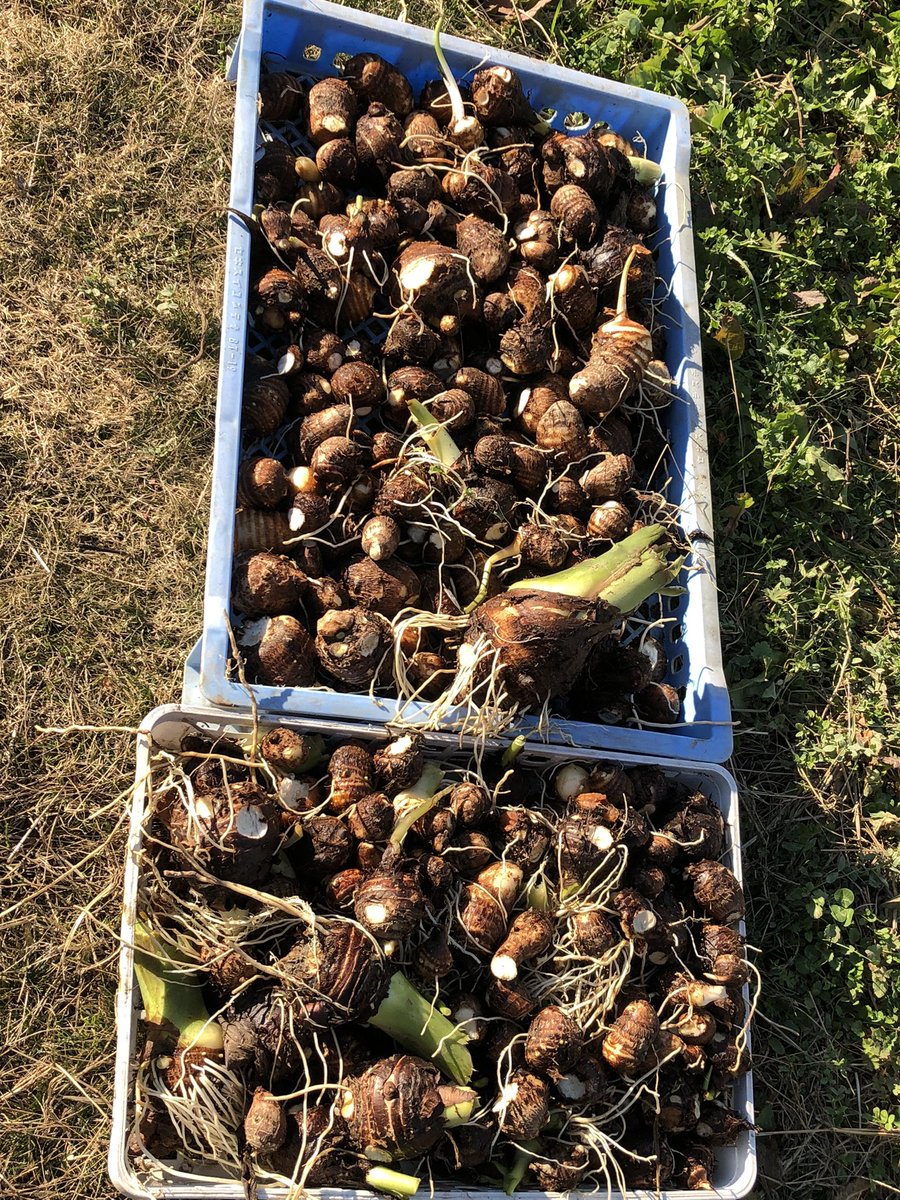 ゆうなおちゃんに ((꜆꜄ ˙꒳˙)꜆꜄꜆ﾎﾟﾁﾎﾟﾁ📱♬∗*ﾟ︎💕︎︎ 今日も